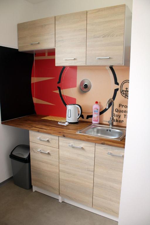 Dluhonska Apartments room 2